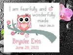 Baby Girl Birth Announcement (image for) Baby Girl Birth Announcement